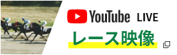 Youtube Live レース映像