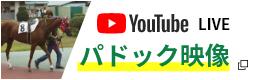 Youtube Live パドック映像