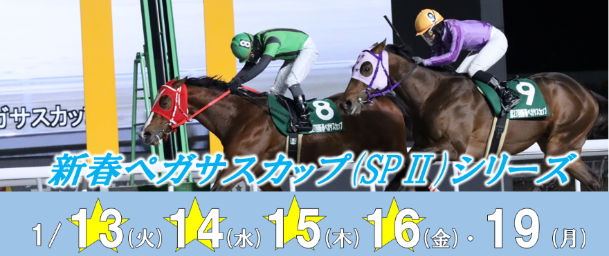新春ペガサスカップバナー