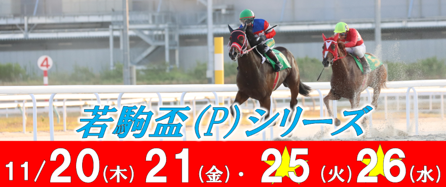 若駒盃バナー
