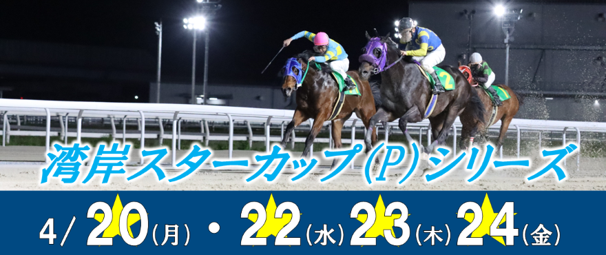 湾岸スターカップバナー