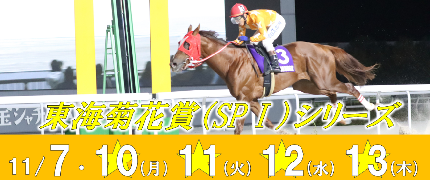 東海菊花賞バナー