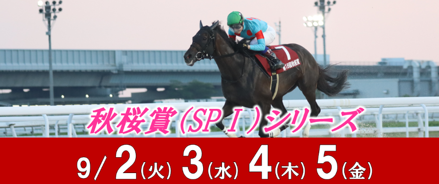 秋桜賞バナー