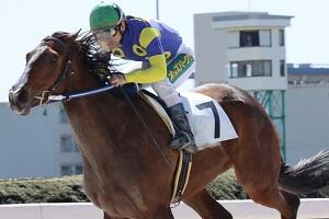 R03.04.07_7R_村上騎手通算500勝3.JPG