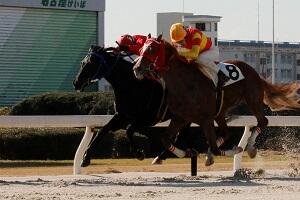 R03.12.20_加藤聡一500勝ゴール前.jpg