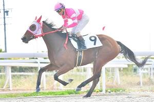 R03.11.12岡部誠騎手4300勝直線HP.jpg