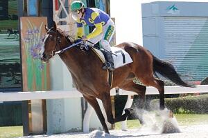 R03.04.07_7R_村上騎手通算500勝1.JPG