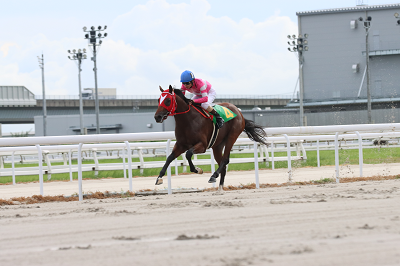 岡部騎手_競馬東海賞若駒盃競走.png