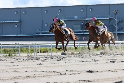 愛知県知事杯 第５２回 東海ダービー Sp 結果 ニュース一覧 金シャチけいばnagoya