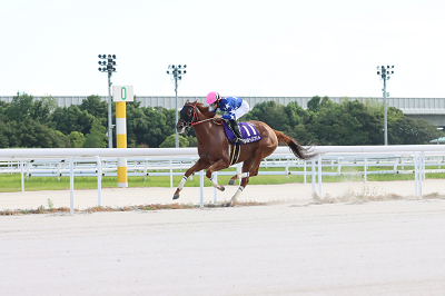 澤田騎手_スポーツ報知杯 第4回 ベイスプリント.png