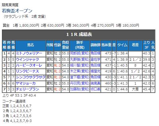 競馬東海賞若駒杯成績表.png