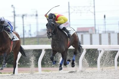 0J6A1047 - コピー.JPG