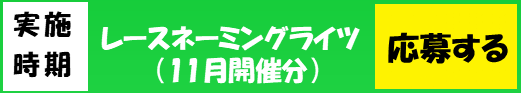 応募バナー(11月分).png