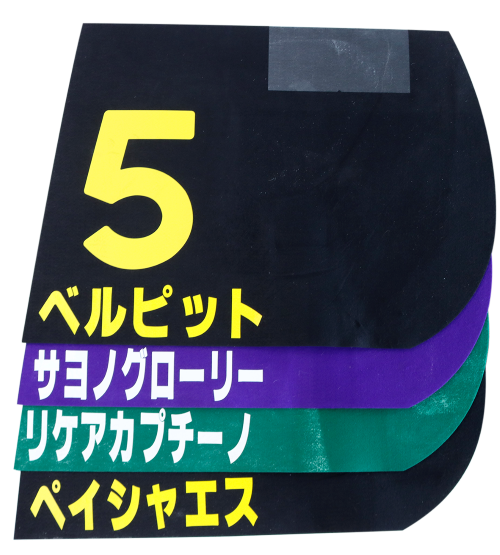 ゼッケンプレゼント写真.png