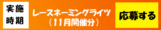 応募バナー(11月分).png