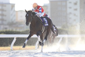 Yahoo!オークション -「jra 当選品」の落札相場・落札価格